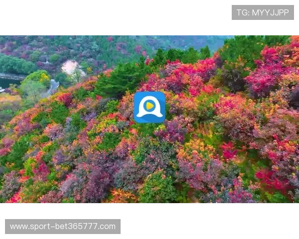 188bet手机版下载官方渠道推荐确保安全，避免虚假软件下载带来的潜在风险快速进入博彩娱乐世界