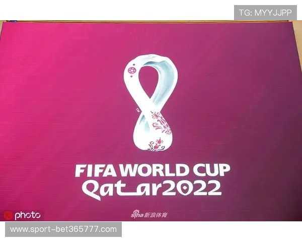 世界杯赛场上的捷克与南非队徽象征意义：代表国家形象与足球精神的结合